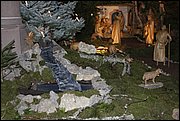 _MG_0920.JPG