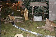 _MG_0925.JPG