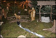 _MG_0932.JPG